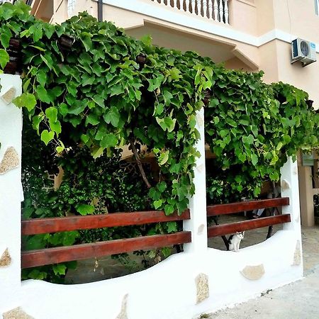 Apartments Papillon Podgorica Zewnętrze zdjęcie
